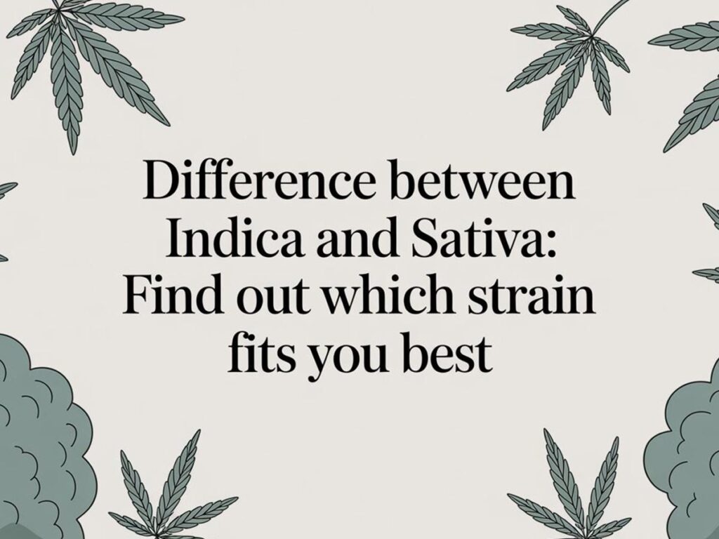 Indica vs. Sativa: A Practical Guide to Choosing the Right Cannabis for You
