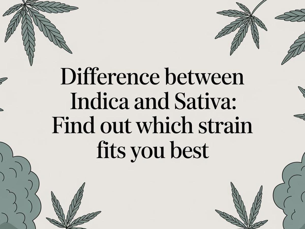 Indica vs. Sativa: A Practical Guide to Choosing the Right Cannabis for You